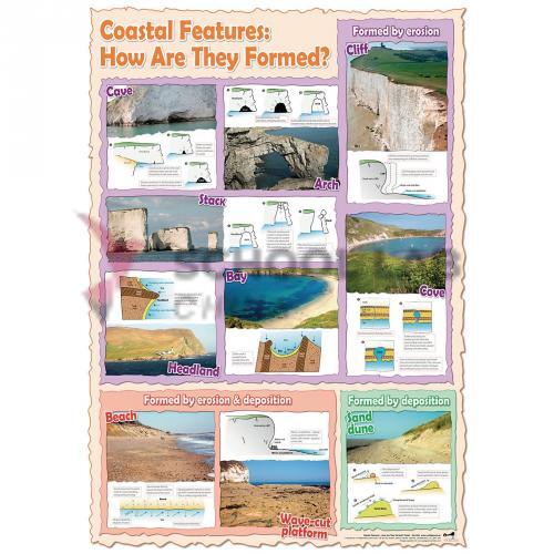 Wildgoose Coasts Poster